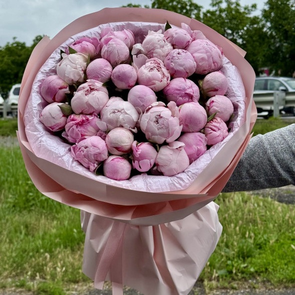 29 пионов &quot;Сара-Бернар&quot; в нежно-розовой упаковке в Штормовое